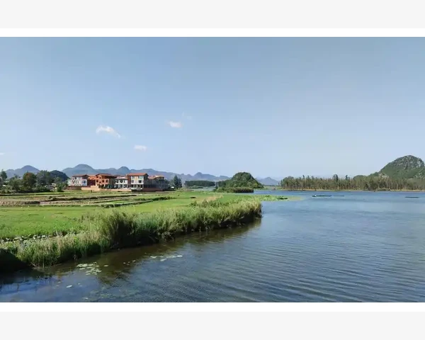 小孩吃草莓凉了脾胃疼，该如何调理？