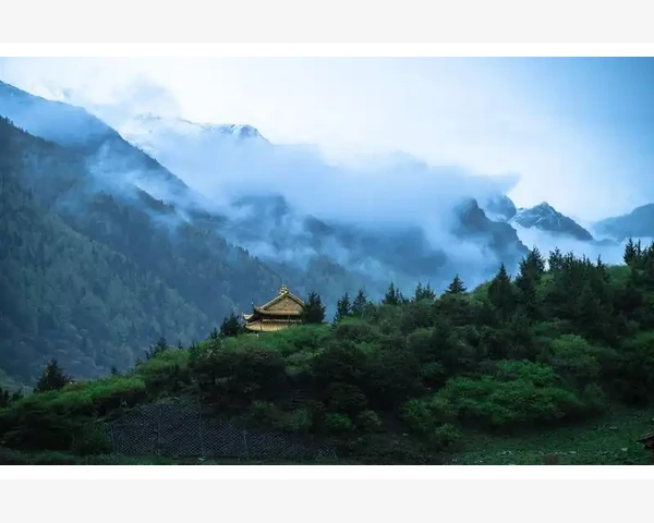 咳嗽化痰：探索灸治疗在中医中的疗效