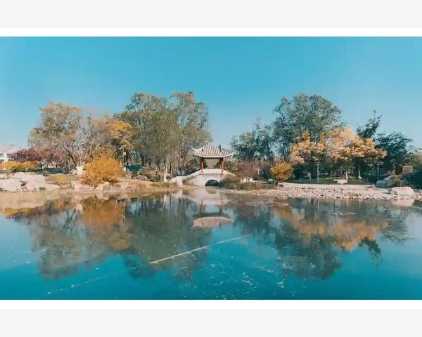 通过驱寒取暖还是嘘寒问暖？